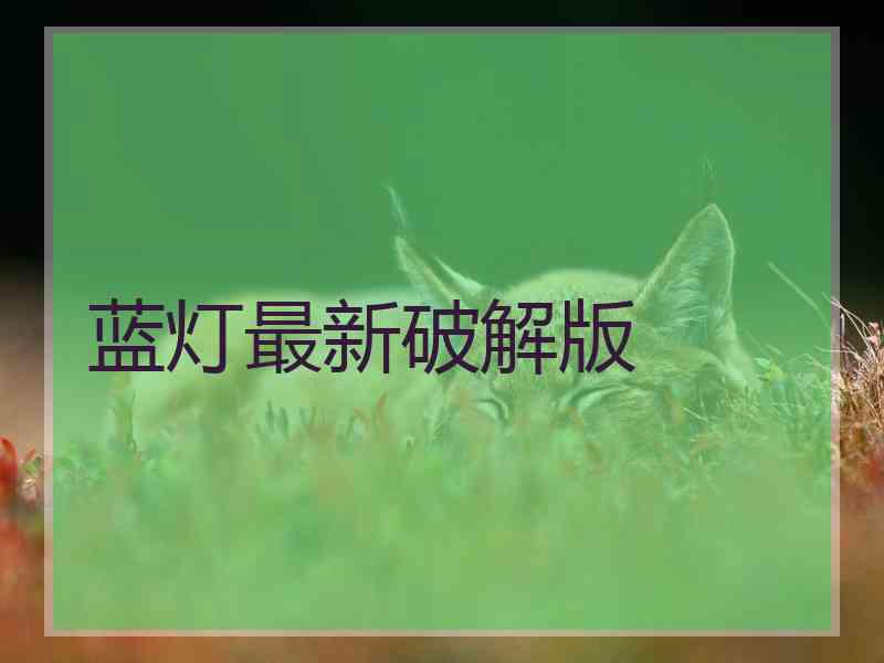 蓝灯最新破解版 蓝灯最新破解版