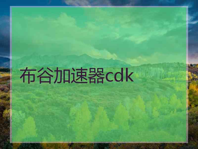 布谷加速器cdk