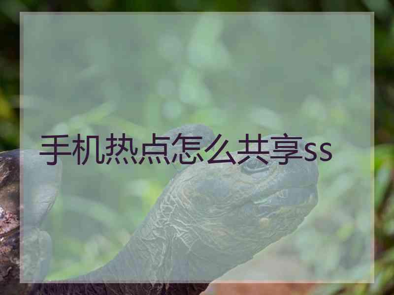 手机热点怎么共享ss