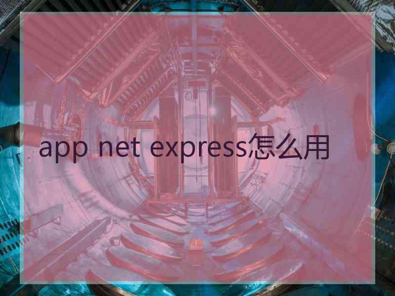 app net express怎么用