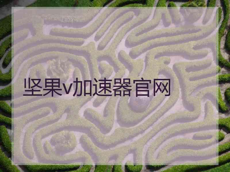 坚果v加速器官网