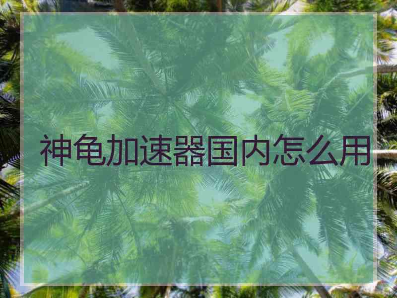 神龟加速器国内怎么用