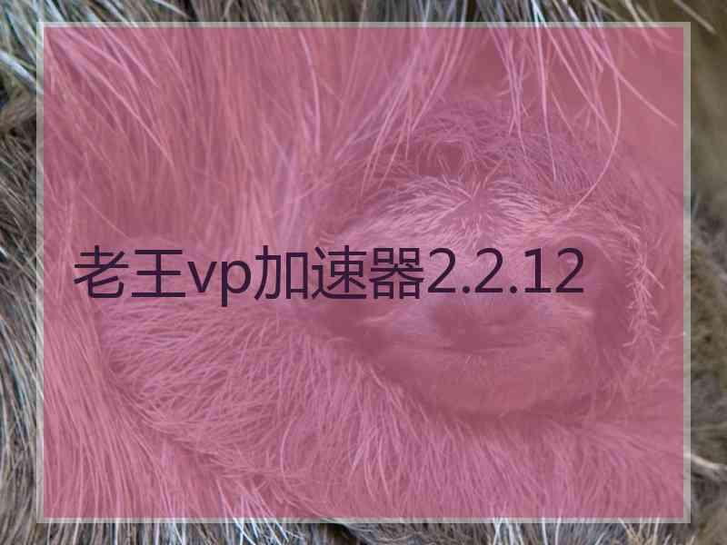 老王vp加速器2.2.12