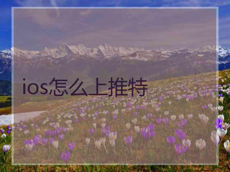 ios怎么上推特