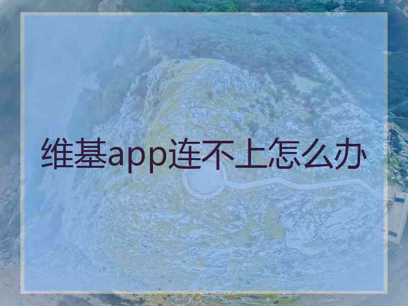 维基app连不上怎么办