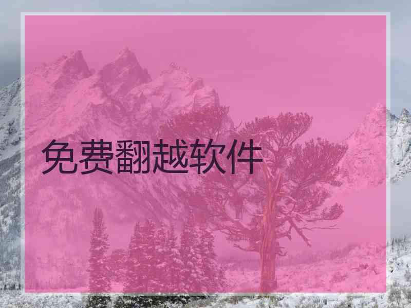 免费翻越软件