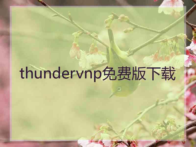 thundervnp免费版下载