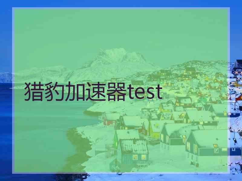 猎豹加速器test