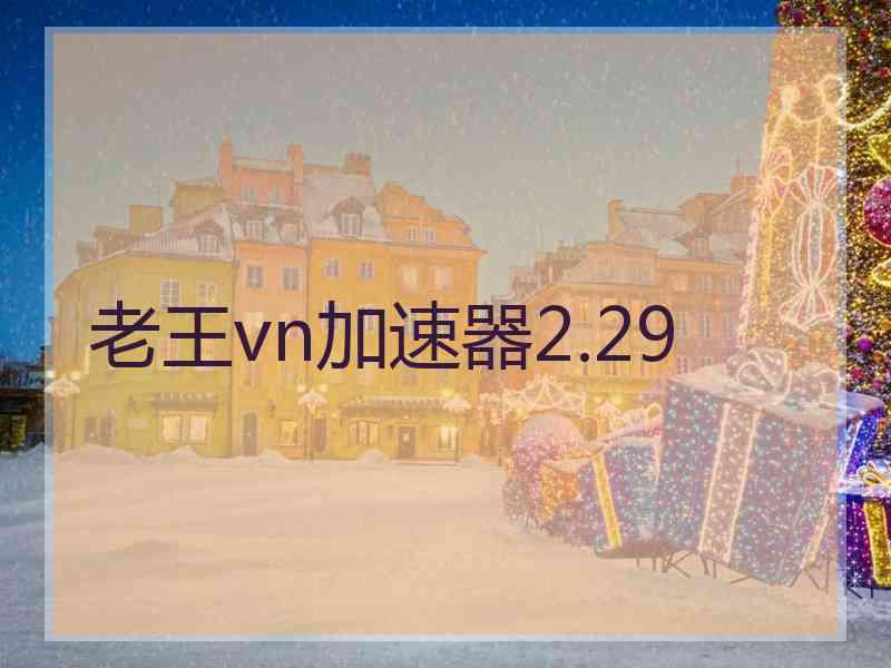 老王vn加速器2.29