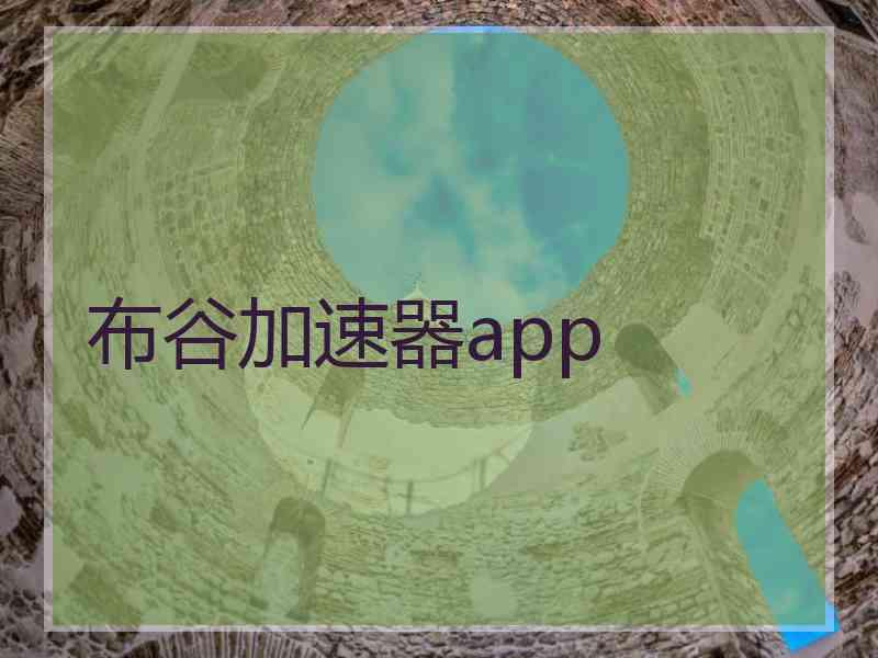 布谷加速器app