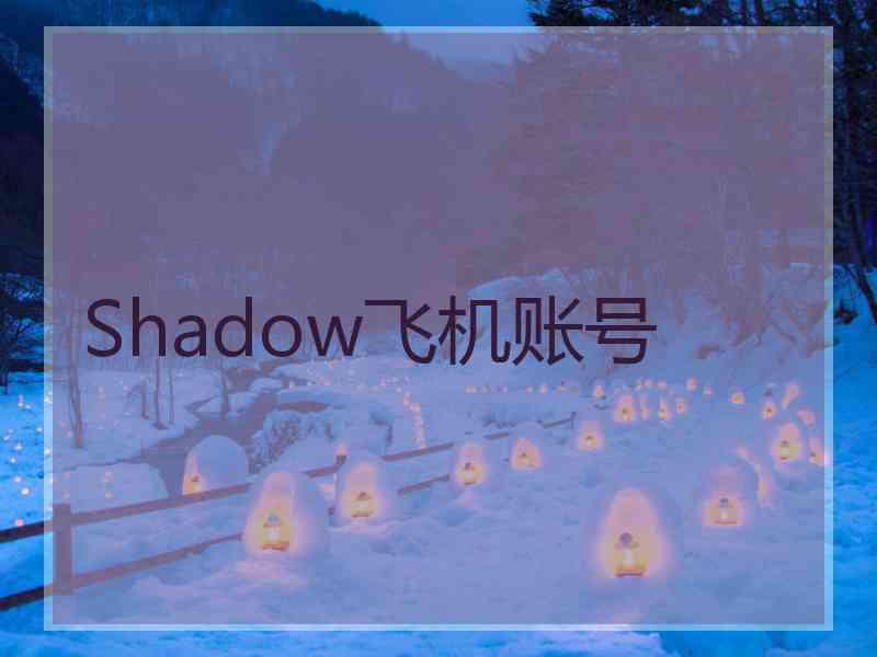 Shadow飞机账号