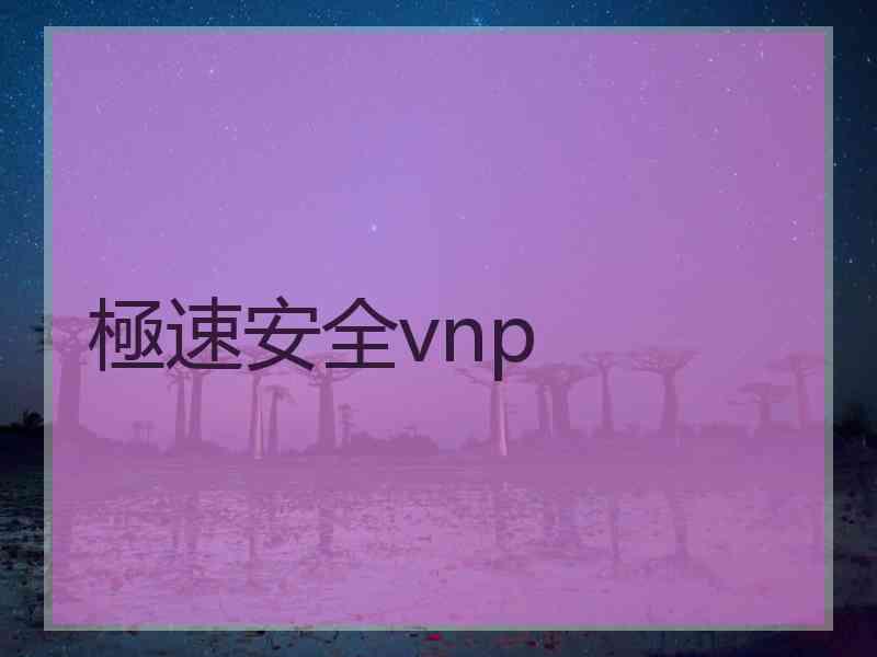 極速安全vnp