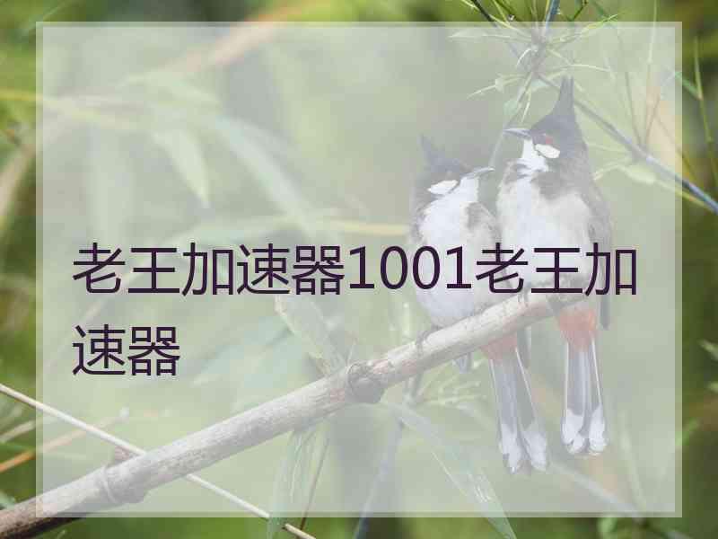 老王加速器1001老王加速器