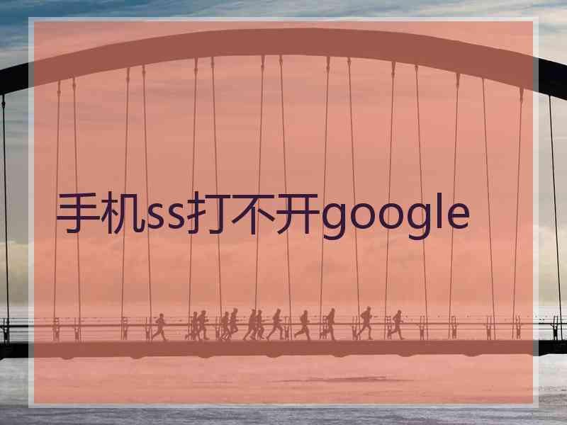 手机ss打不开google