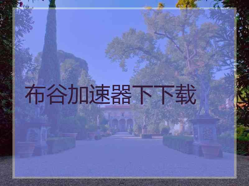 布谷加速器下下载