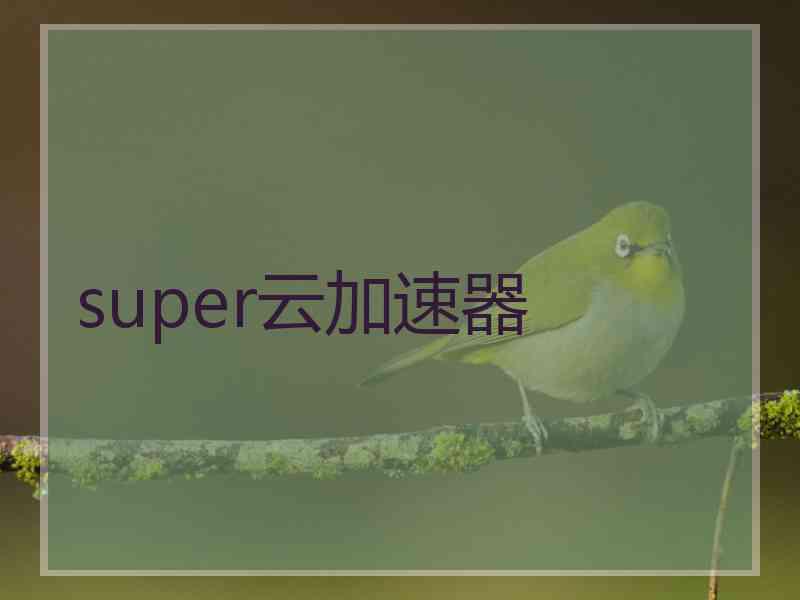 super云加速器