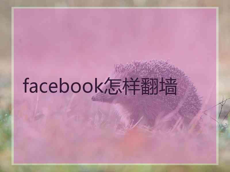 facebook怎样翻墙