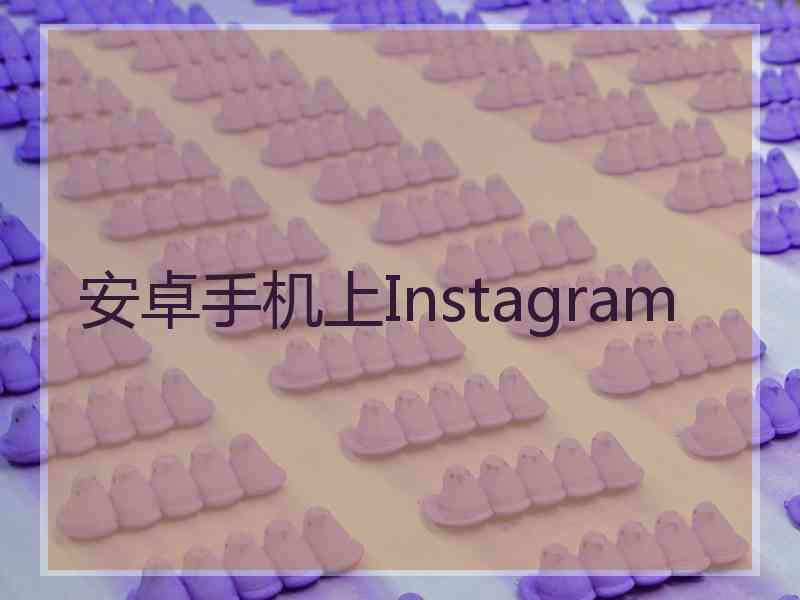 安卓手机上Instagram