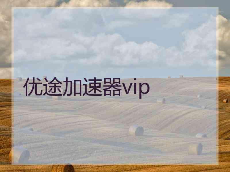 优途加速器vip