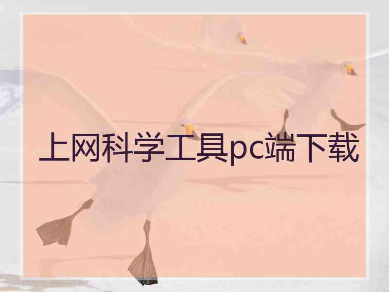 上网科学工具pc端下载