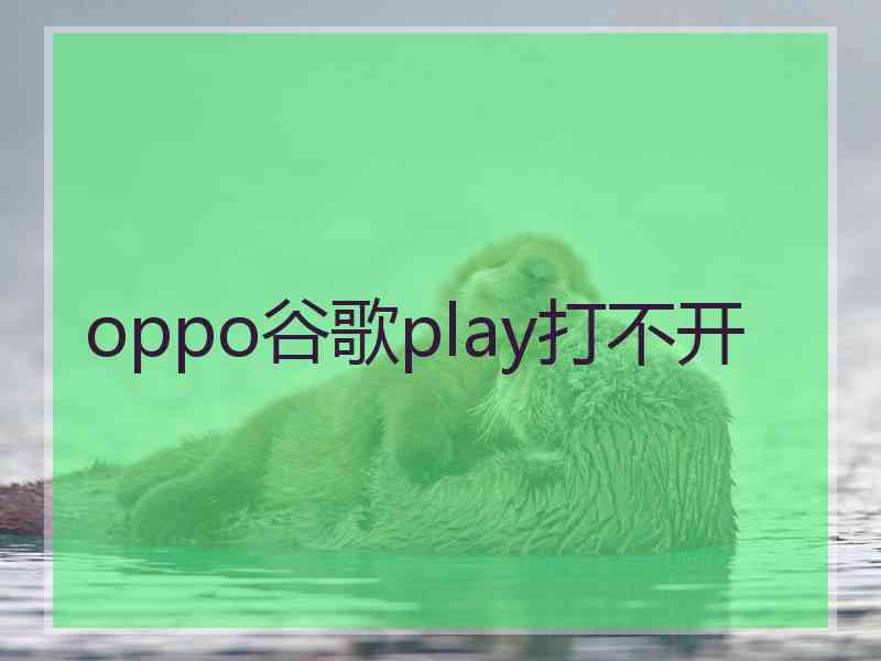 oppo谷歌play打不开