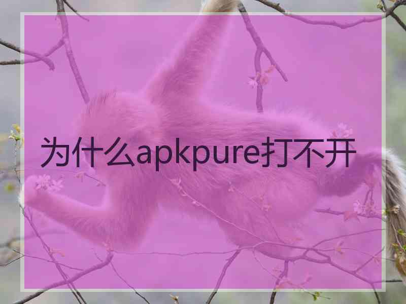 为什么apkpure打不开