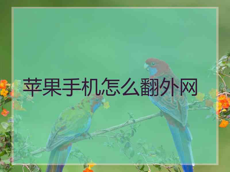 苹果手机怎么翻外网