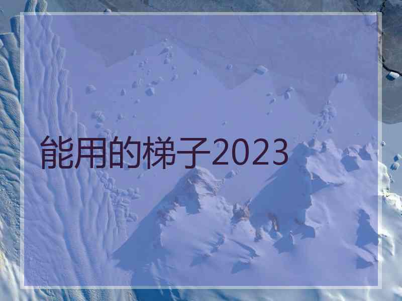 能用的梯子2023