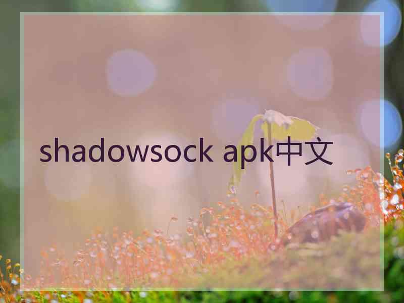 shadowsock apk中文