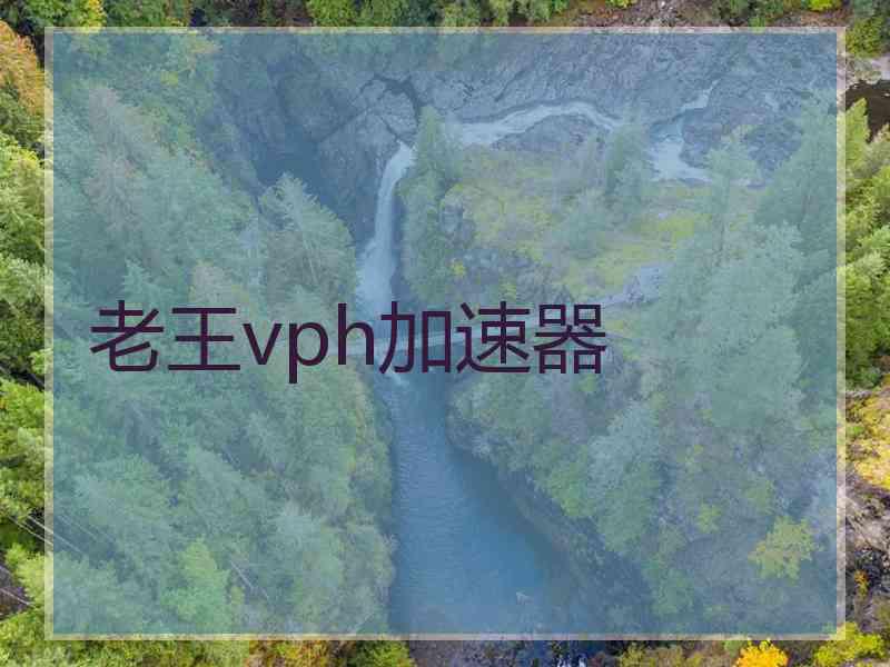 老王vph加速器