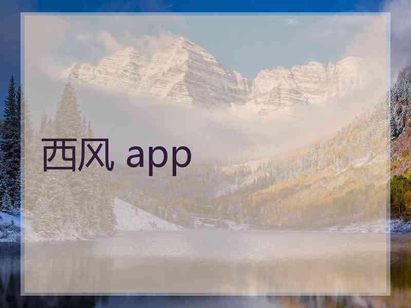 西风 app