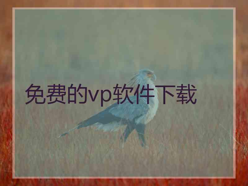 免费的vp软件下载