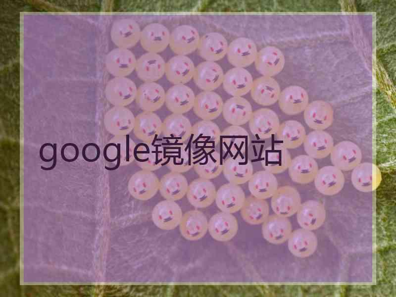 google镜像网站