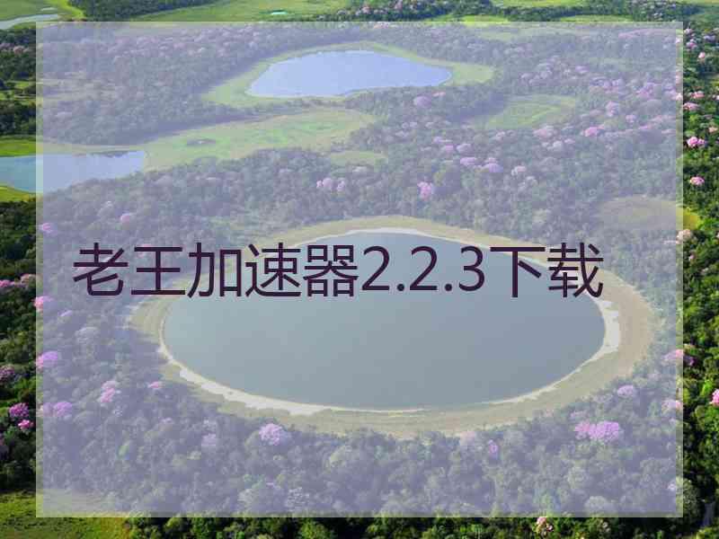 老王加速器2.2.3下载