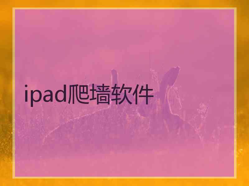 ipad爬墙软件