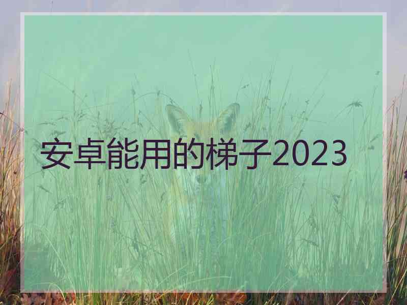 安卓能用的梯子2023