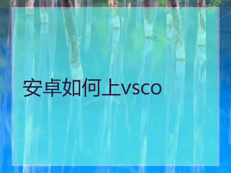 安卓如何上vsco