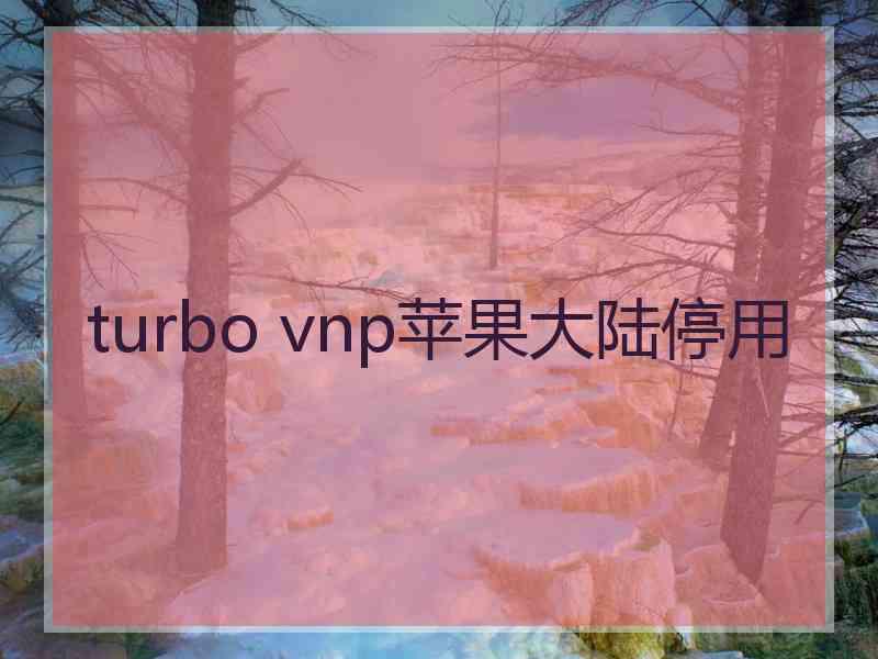 turbo vnp苹果大陆停用