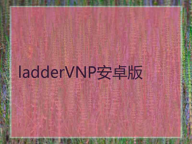 ladderVNP安卓版