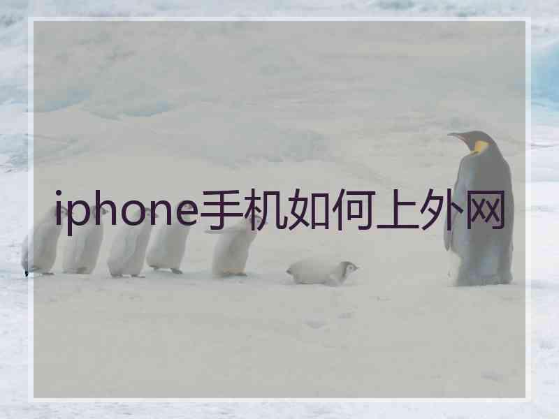 iphone手机如何上外网