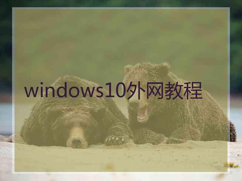 windows10外网教程