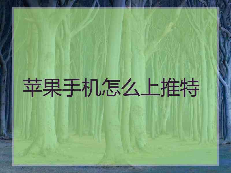 苹果手机怎么上推特