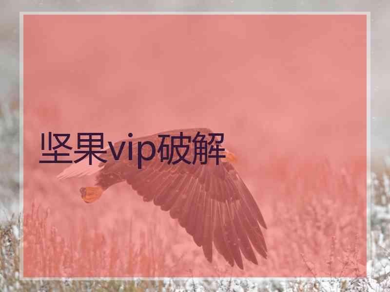 坚果vip破解