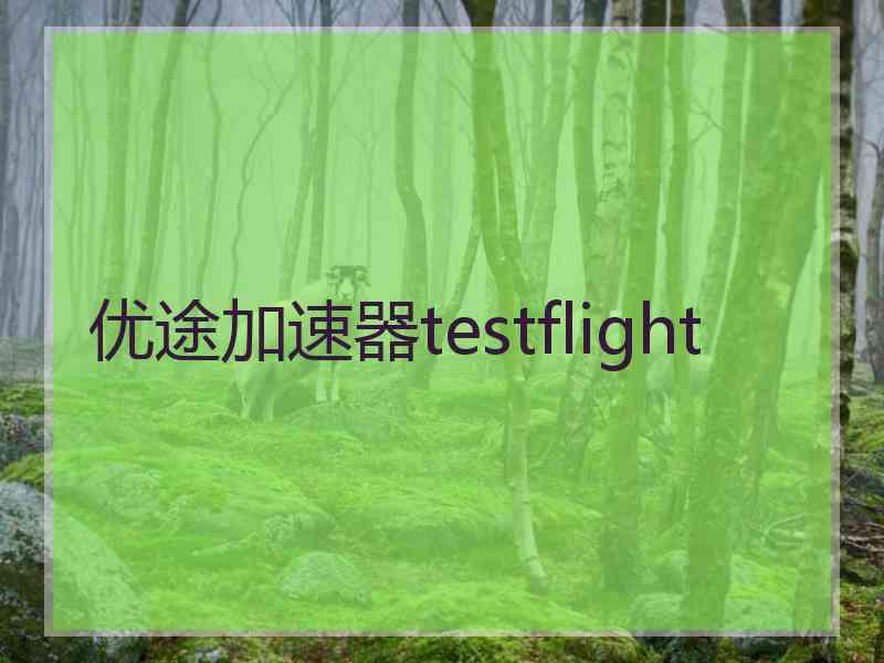 优途加速器testflight