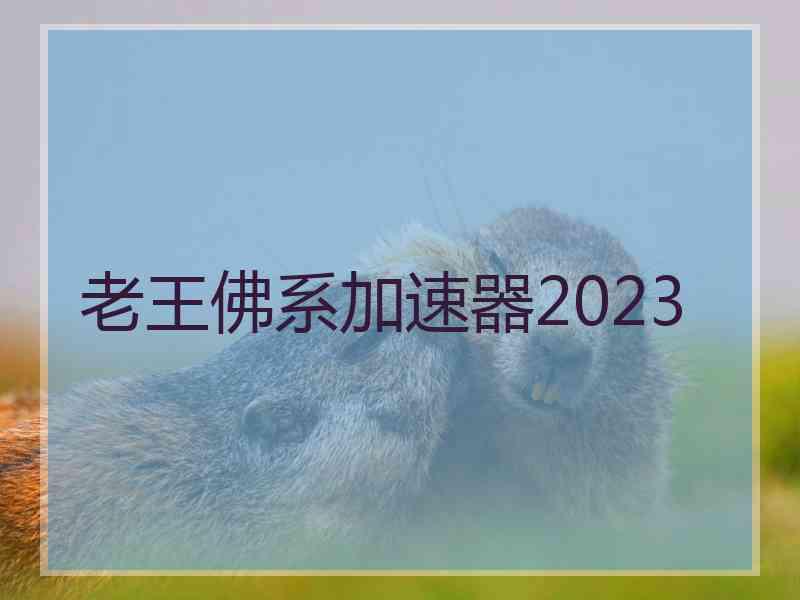 老王佛系加速器2023