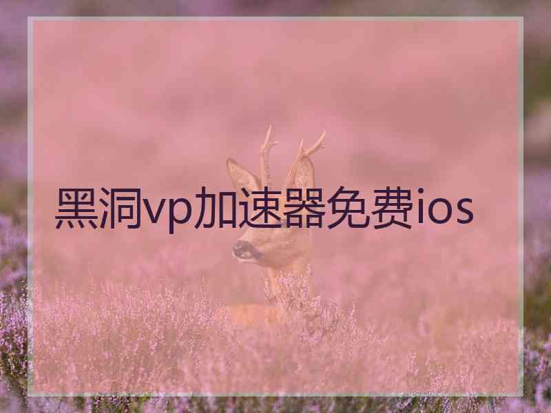 黑洞vp加速器免费ios