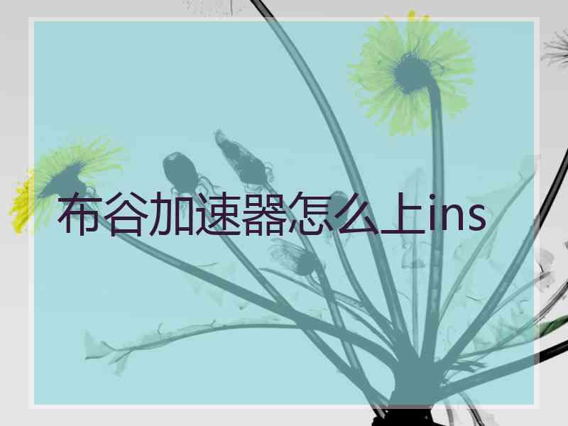 布谷加速器怎么上ins