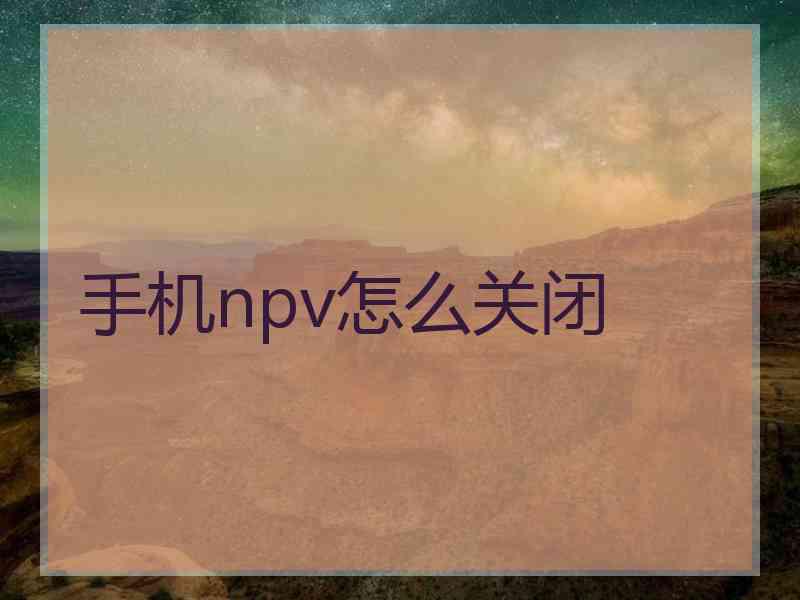 手机npv怎么关闭