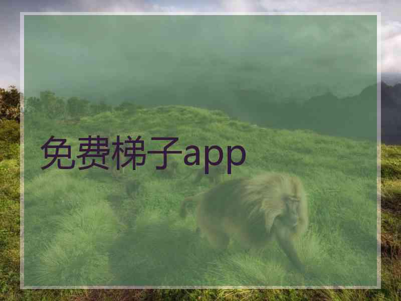 免费梯子app