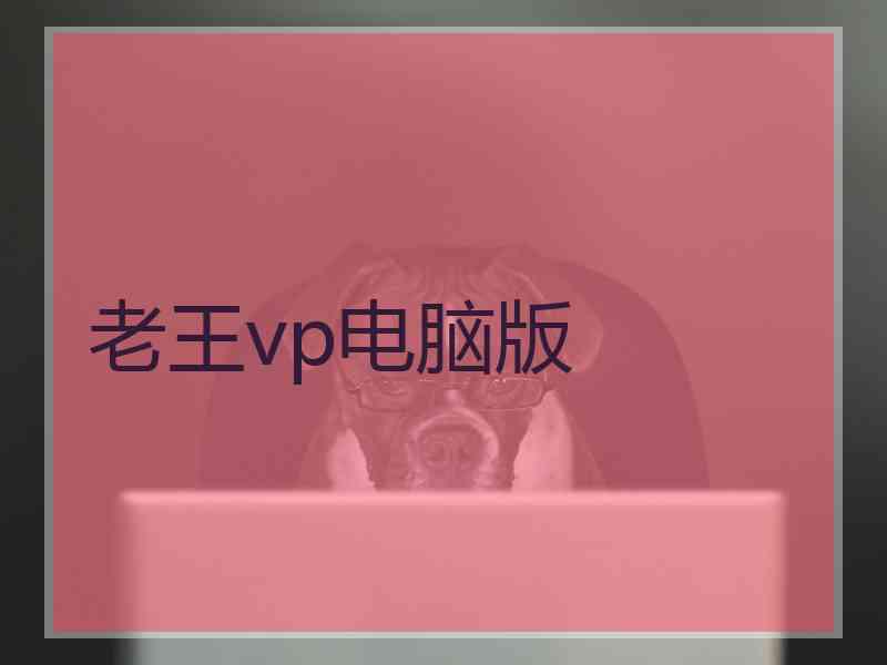 老王vp电脑版